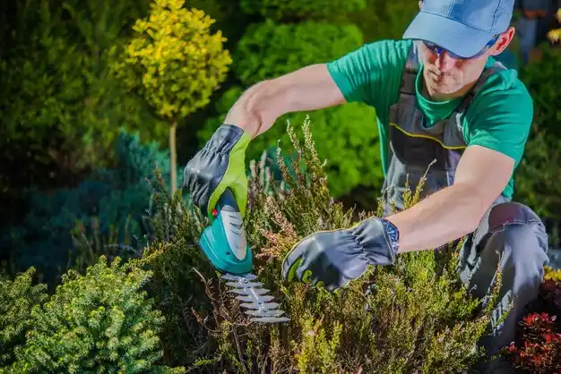 landscaping services Fayette